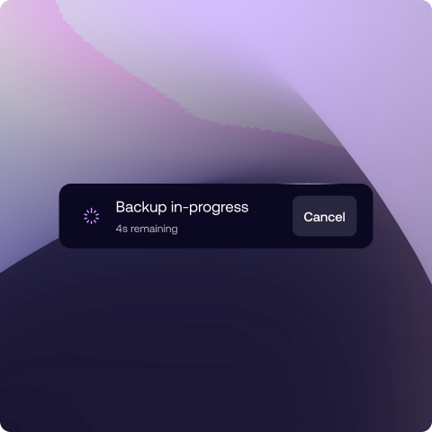 Daily automatic backups taken for every hosting account