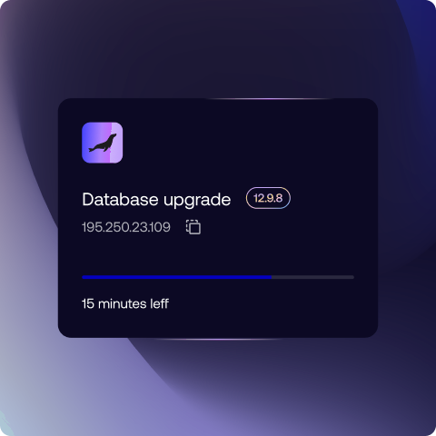 MariaDB database engine powering sites on every plan